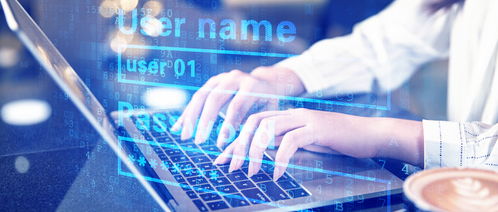 专科计算机专业涵盖的数据处理服务领域详解